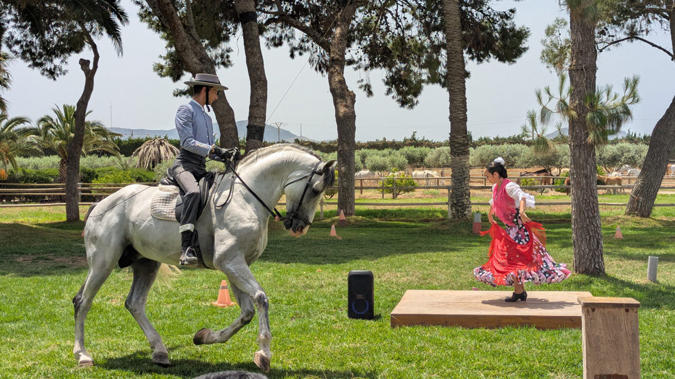 Cartagena horse farm